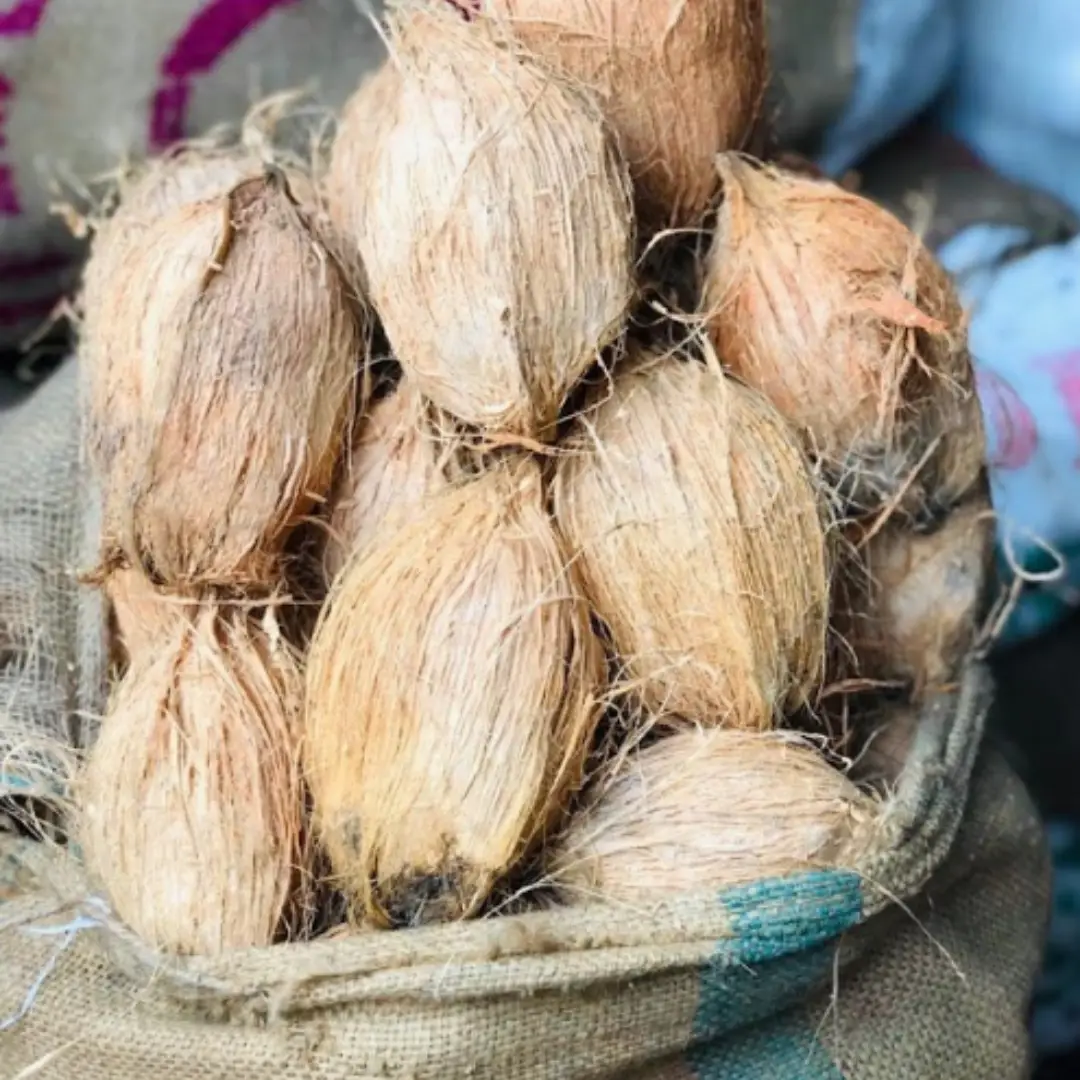 Husked Coconut 100 Count