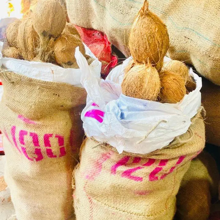 Semi Husked Coconut 120 Count