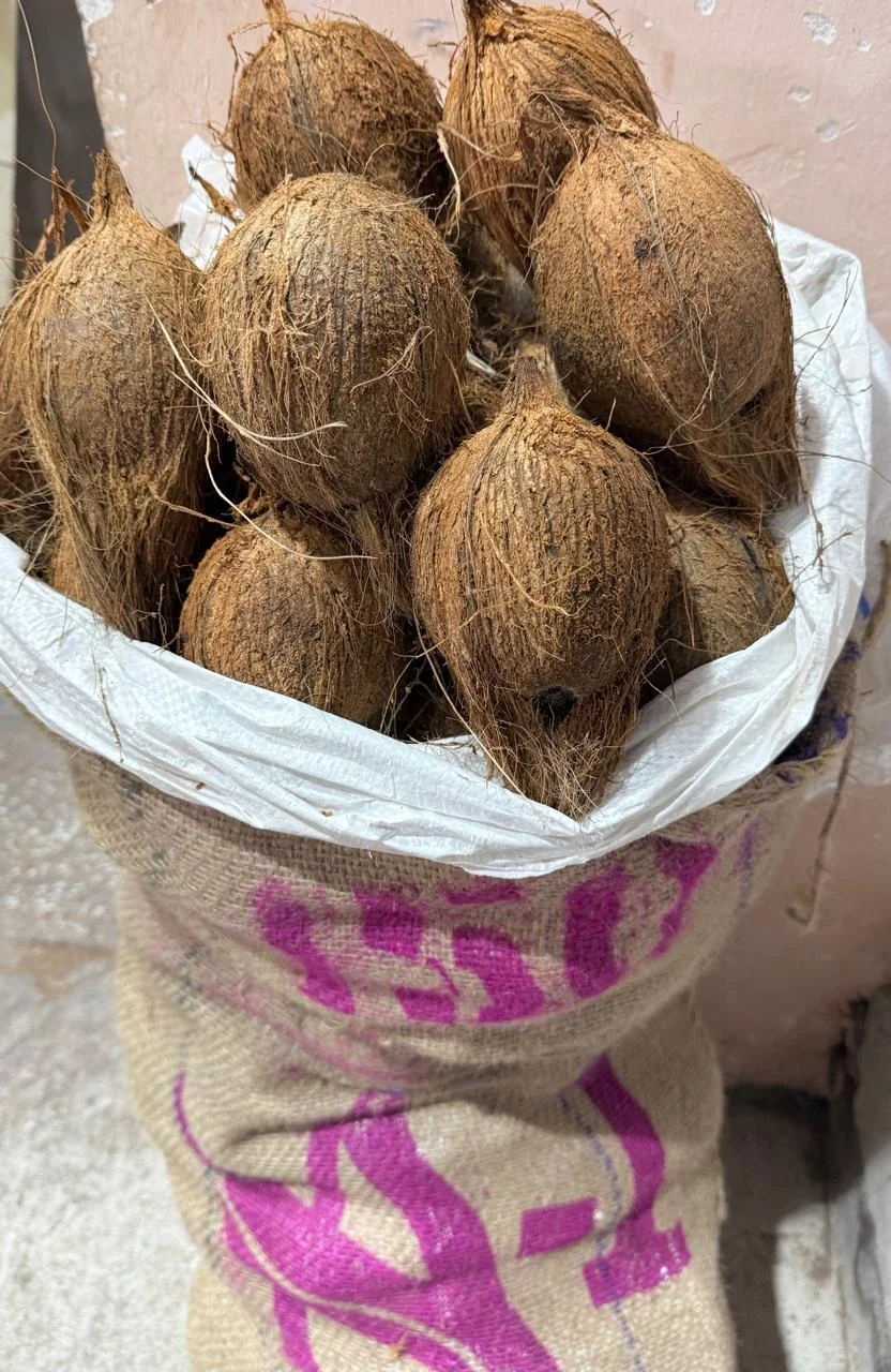 Semi Husked Coconut 150 Count